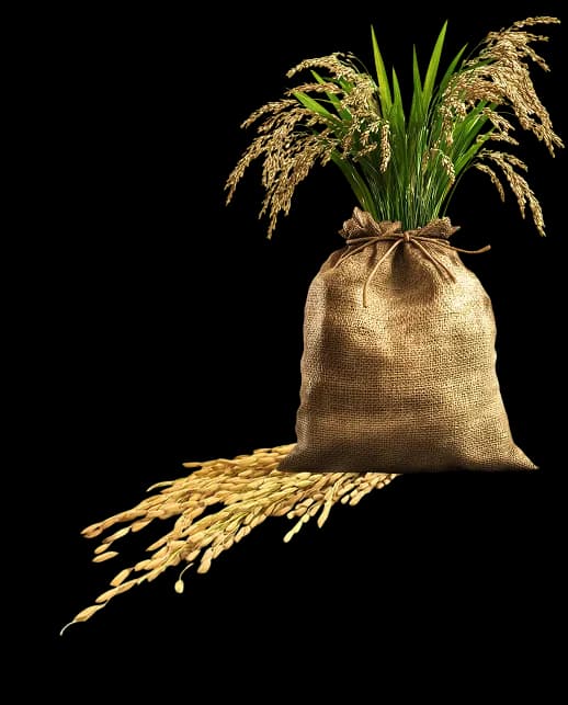 Rice Sack Decoration